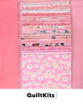 Easy Block Quilt Kit - Modern Pink Complete Kit